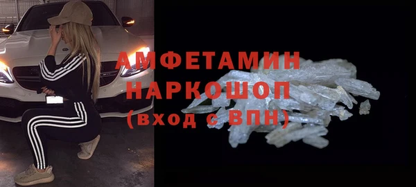 прущие грибы Инта