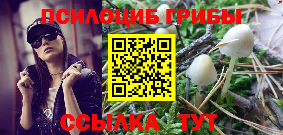 Красноярск  Псилоцибиновые грибы Psilocybe  Вход с VPN 